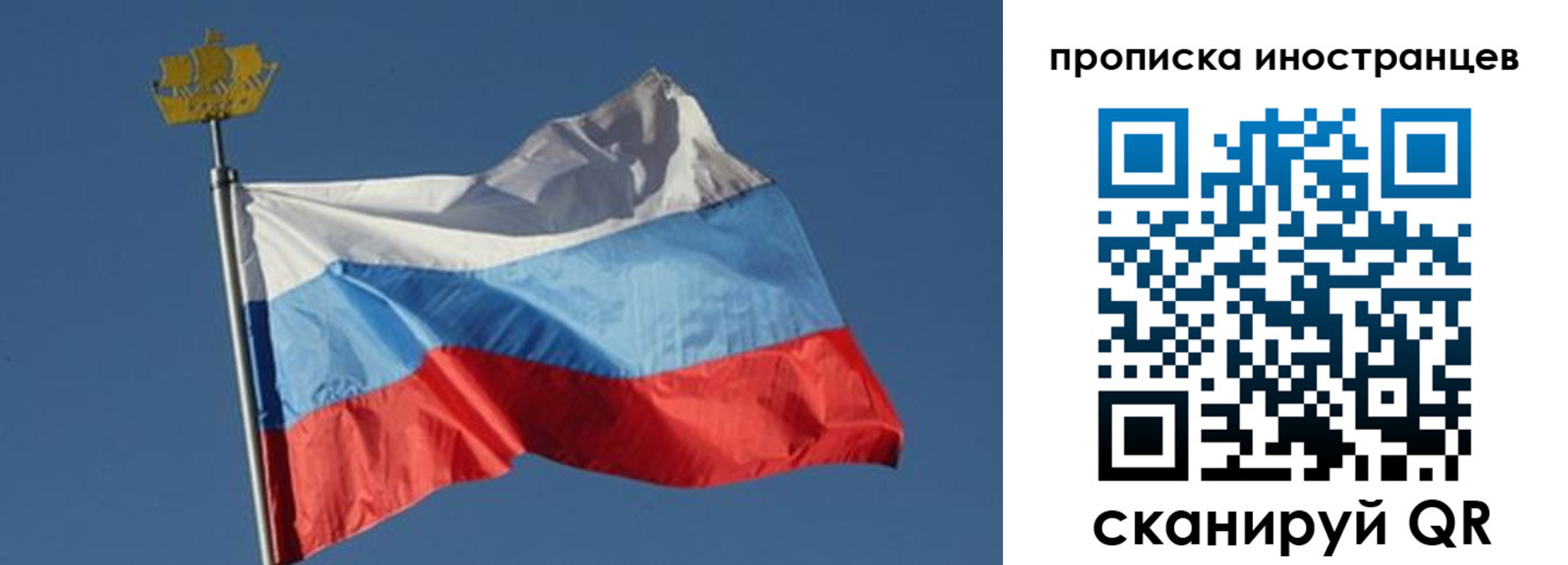 прописка поиск в Выборге